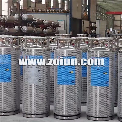 Dewar LN2 en acier inoxydable